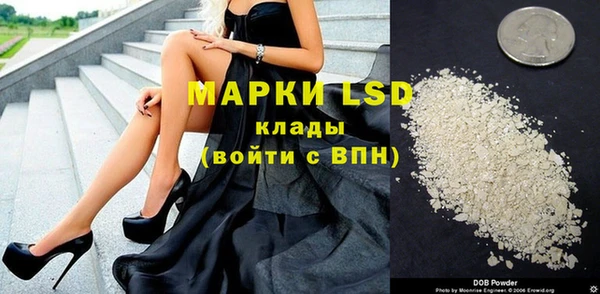 хмурый Алзамай
