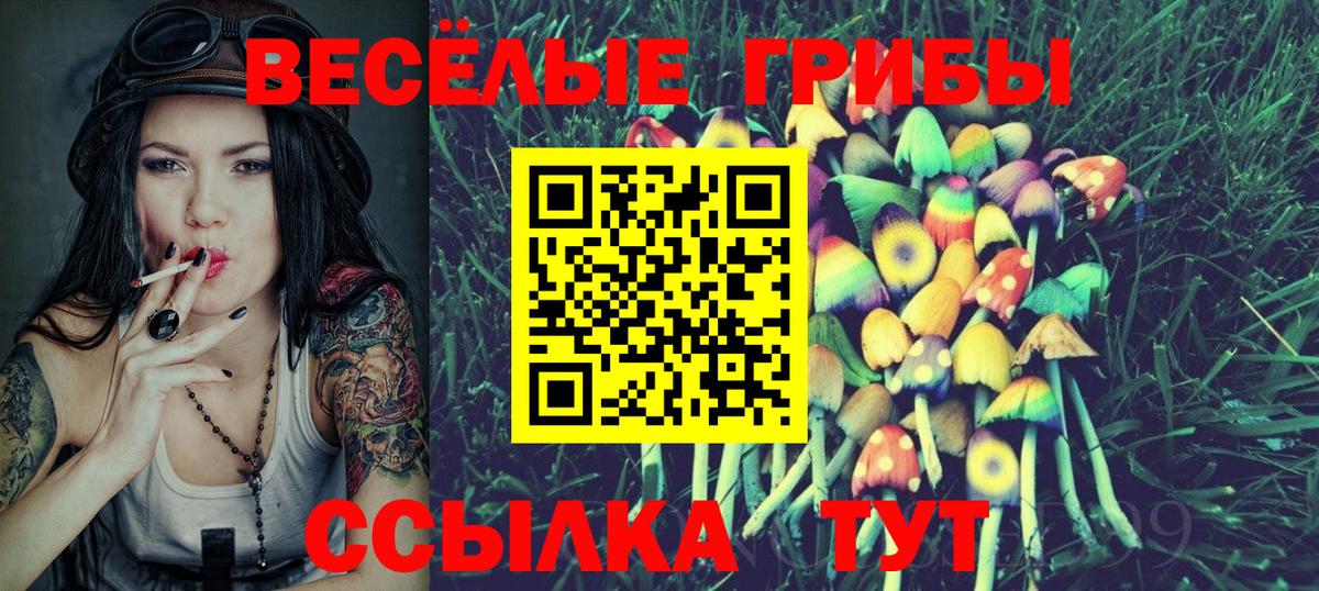 Псилоцибиновые грибы Magic Shrooms Орск