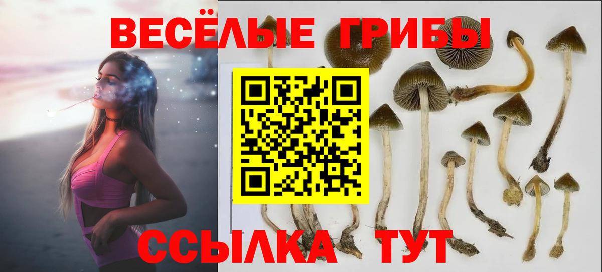 где купить   Вход с VPN  Орск  Псилоцибиновые грибы GOLDEN TEACHER 